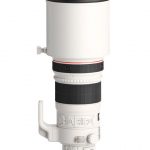 Lente Teleobjetivo Canon 300mm f/2.8 Mark II